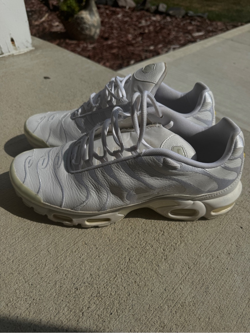 Nike Air Max TN - Full leather